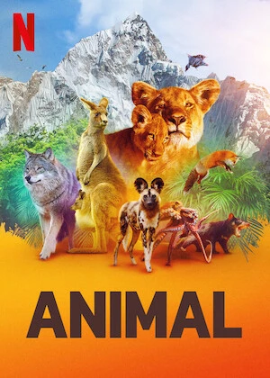 Động vật (Phần 1) | Animal (Season 1) (2021)