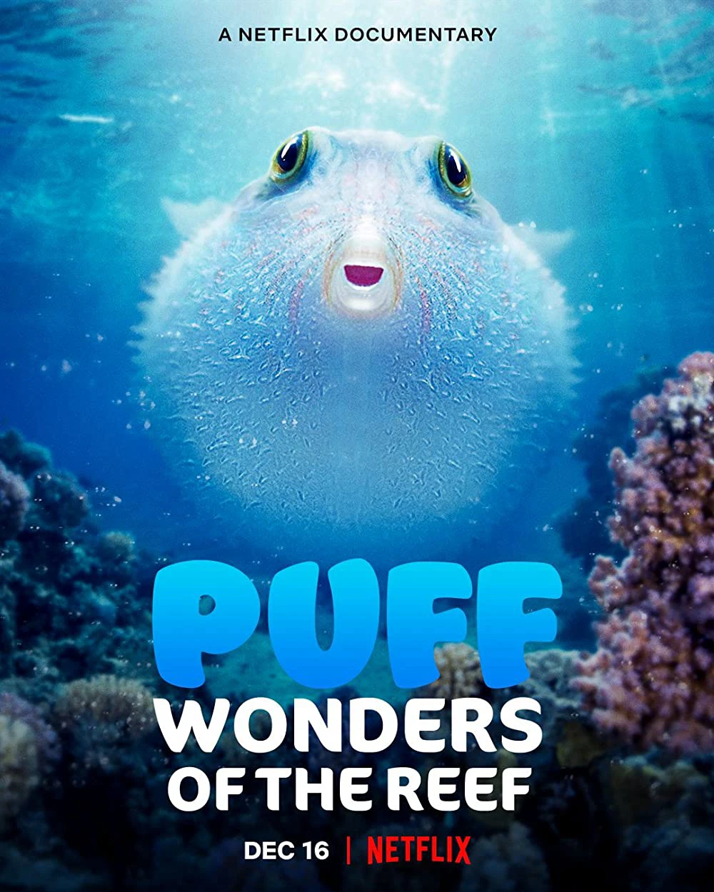 Puff: Rạn san hô kỳ diệu | Puff: Wonders of the Reef (2021)